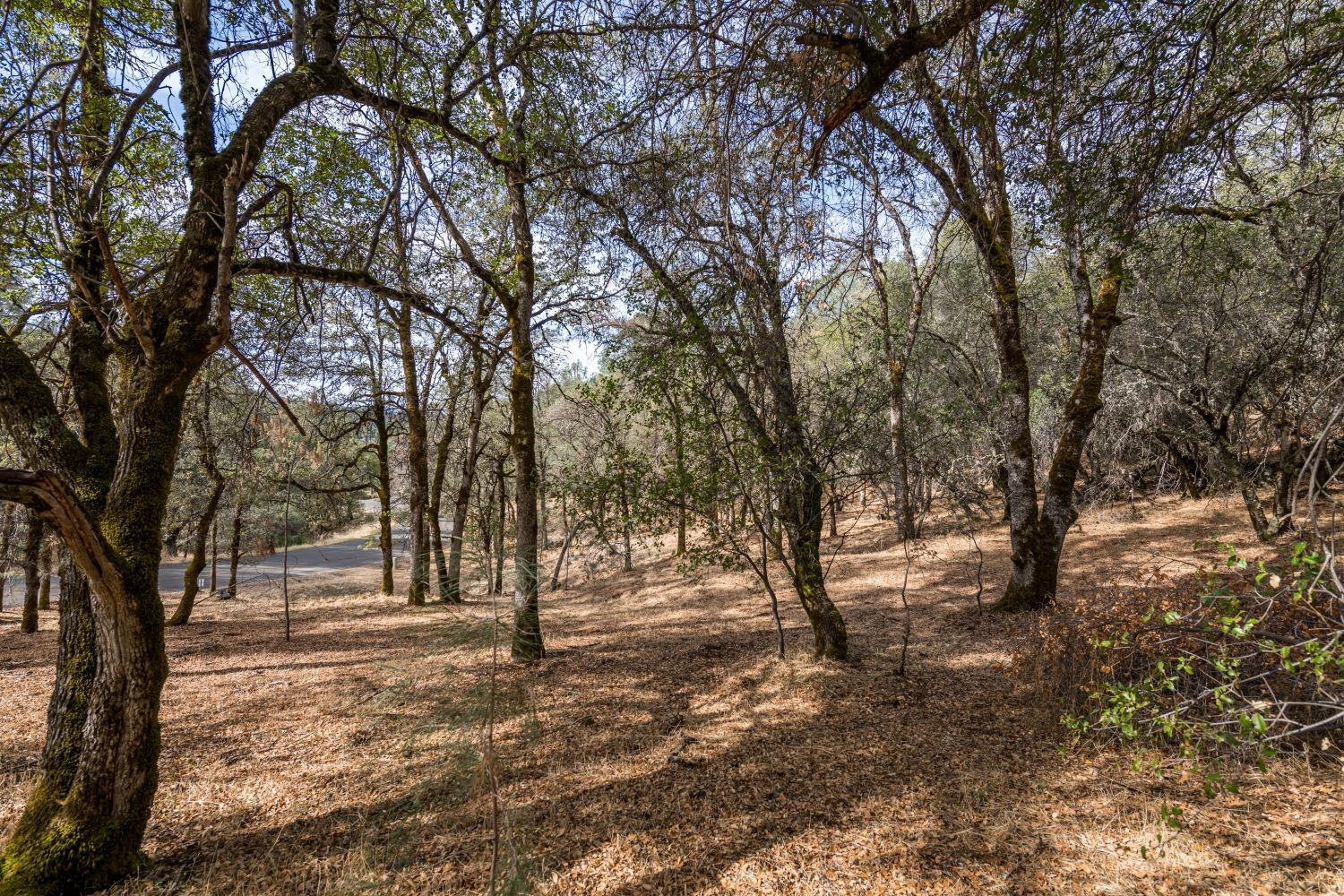 Lot 204 Masters Court, Auburn, California image 4