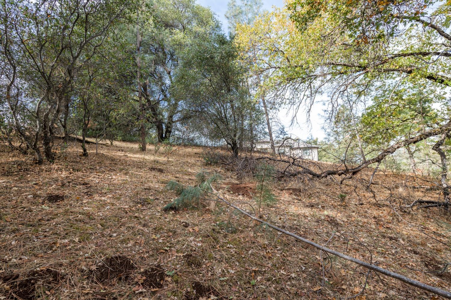 Lot 169 Darkhorse Drive, Auburn, California image 6
