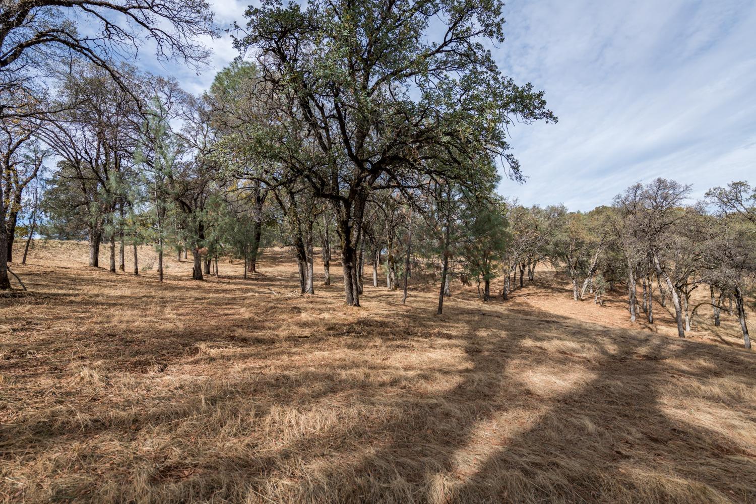 Lot 222 Moon Ridge Court, Auburn, California image 4