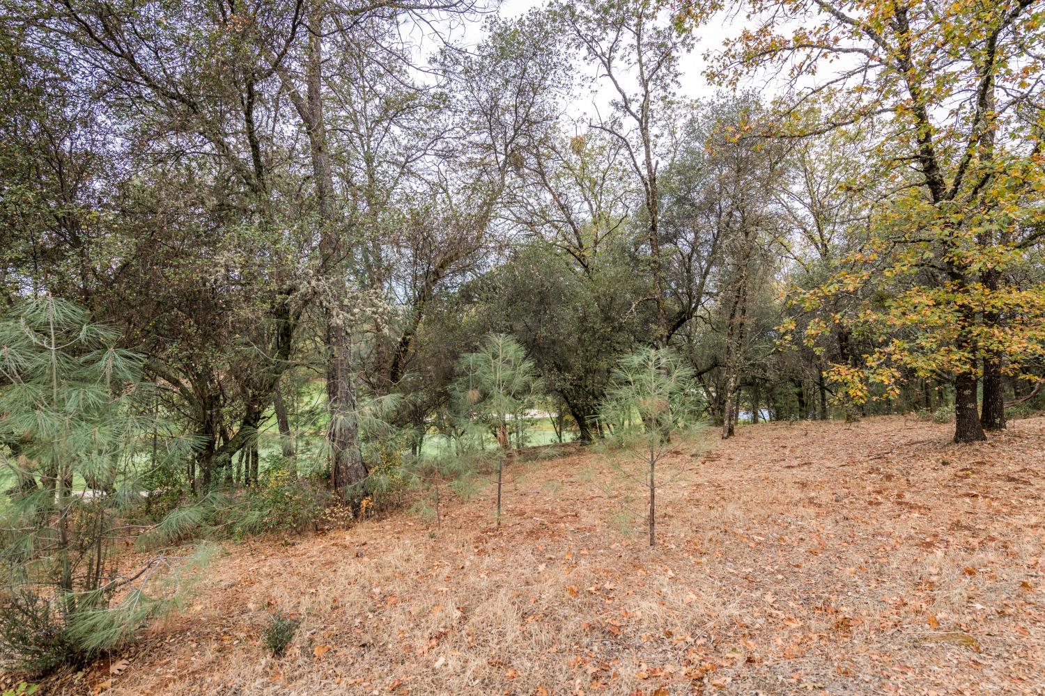 Lot 25 Landon Evan Lane, Auburn, California image 1