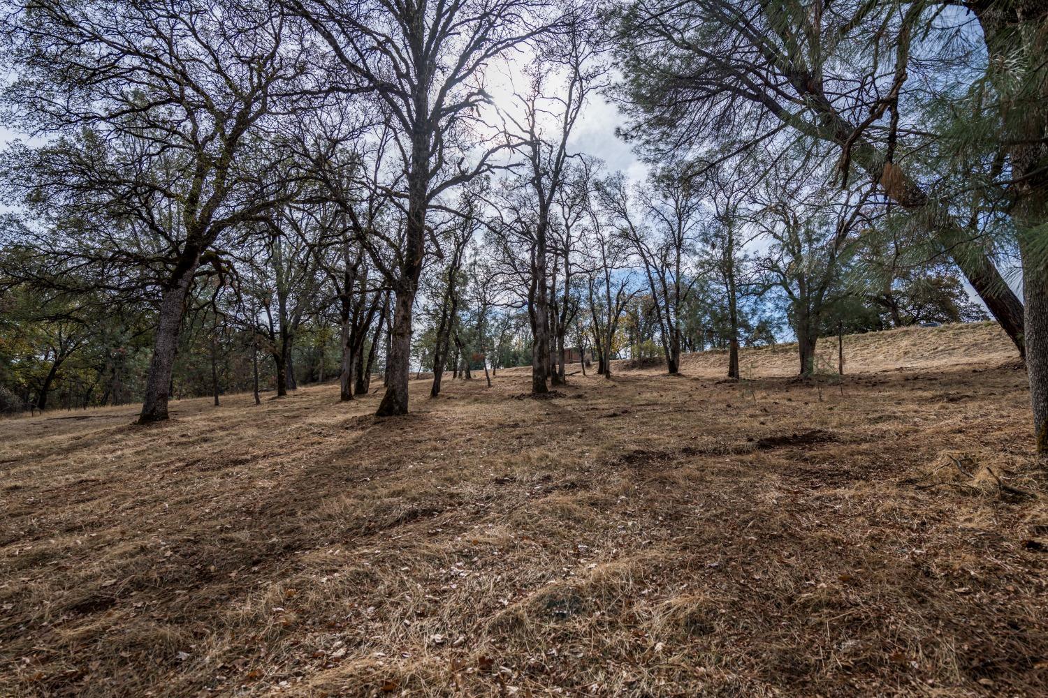 Lot 222 Moon Ridge Court, Auburn, California image 8