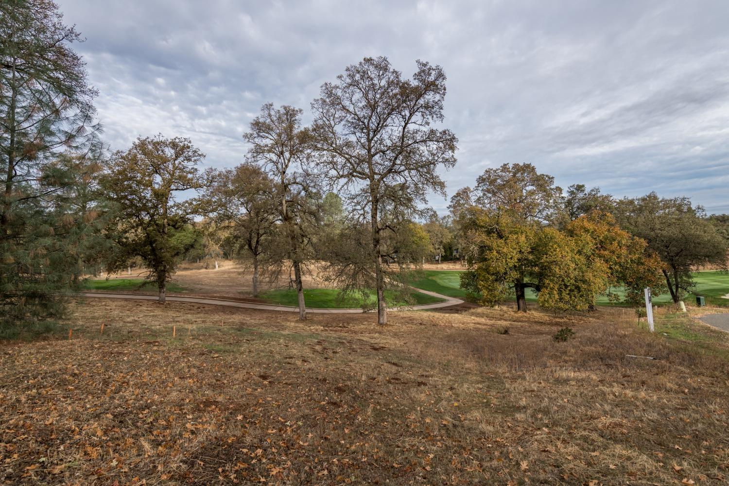 Photo of 23436-Lot 48 Alexis Dr in Auburn, CA