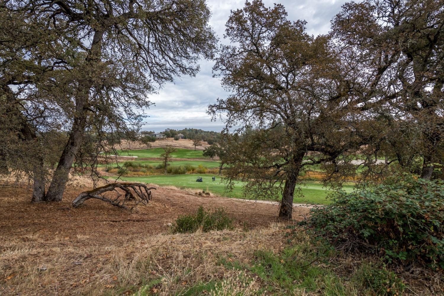 Photo of 23527-Lot 58 Bunkerhill Ct in Auburn, CA