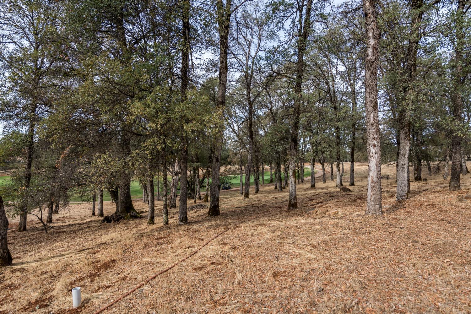 Photo of 23638-Lot 142 Eaglepoint Ct in Auburn, CA