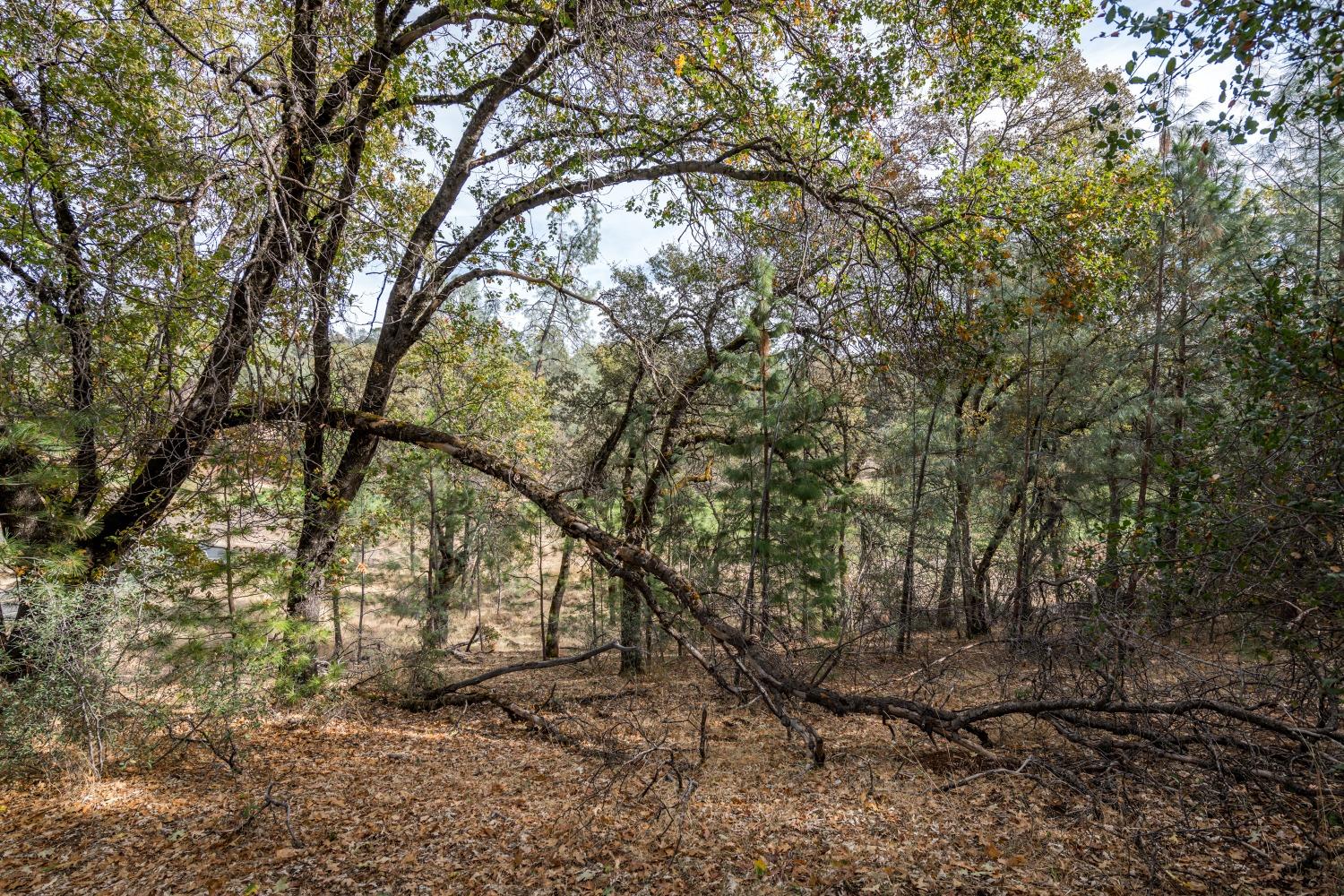Lot 169 Darkhorse Drive, Auburn, California image 4