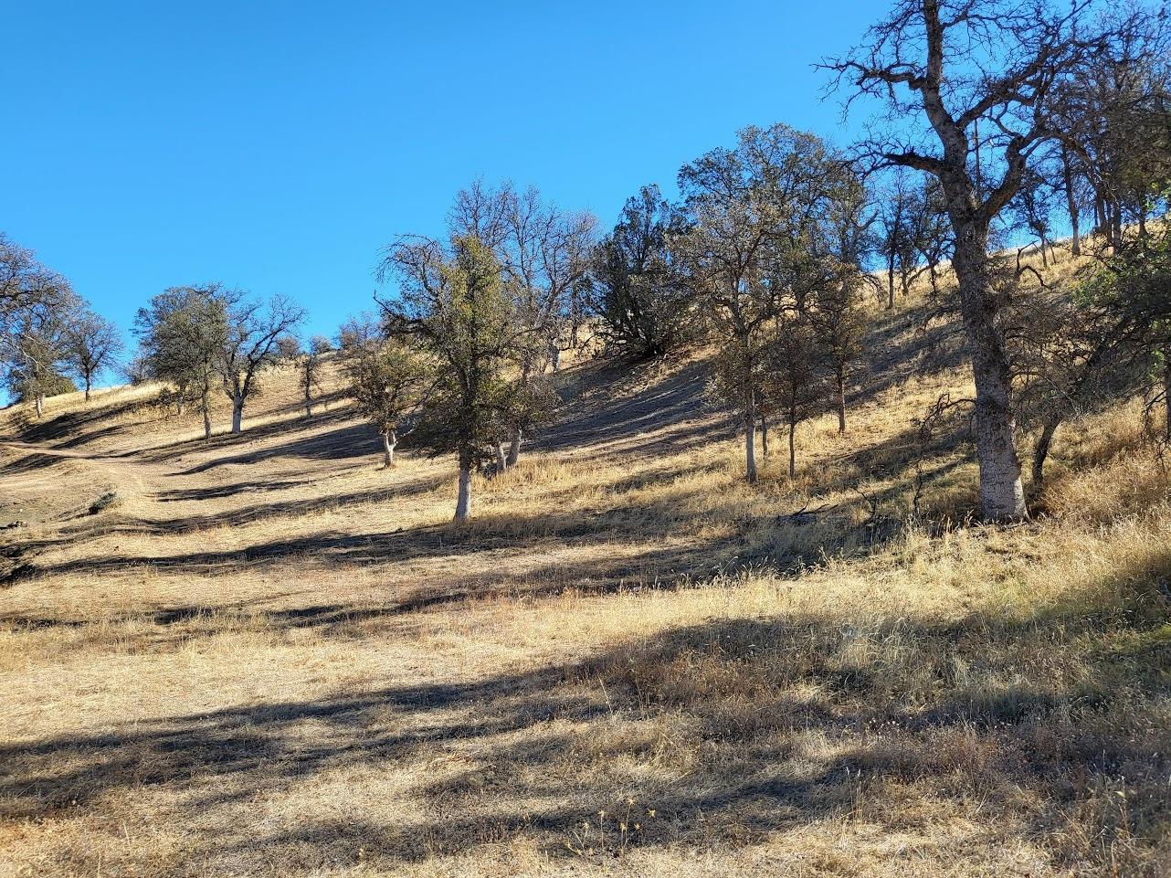 Lodoga Stonyford Road, Stonyford, California image 7