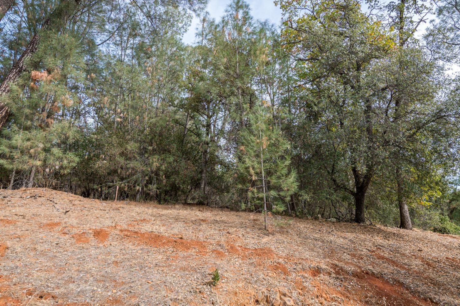 Photo of 12710-Lot 194 Masters Ct in Auburn, CA