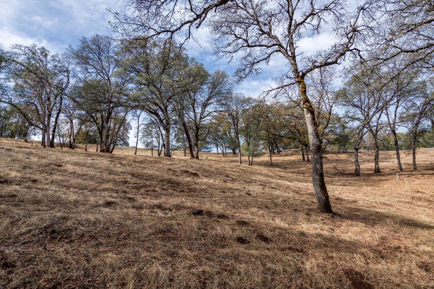 Lot 222 Moon Ridge Court, Auburn, California image 6