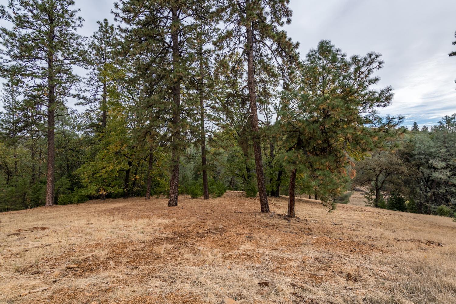 Lot 123 Darkhorse Drive, Auburn, California image 2