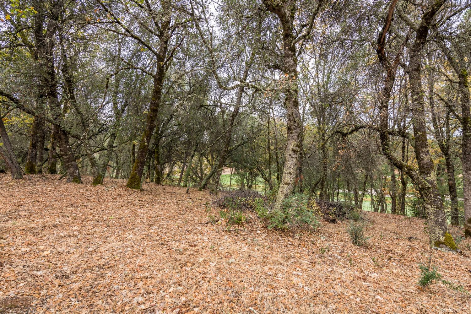 Lot 26 Landon Evan Lane, Auburn, California image 3