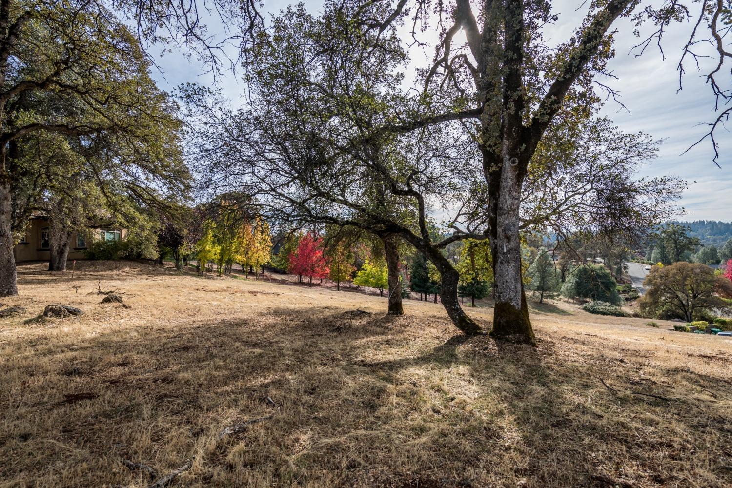 Lot 103 Austin Forest Circle, Auburn, California image 2