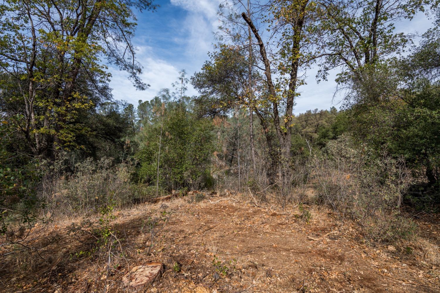 Lot 195 Masters Court, Auburn, California image 4