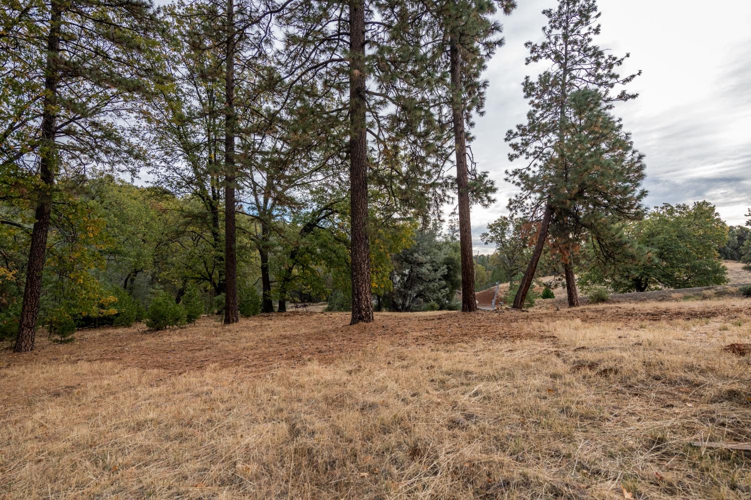 Lot 123 Darkhorse Drive, Auburn, California image 8