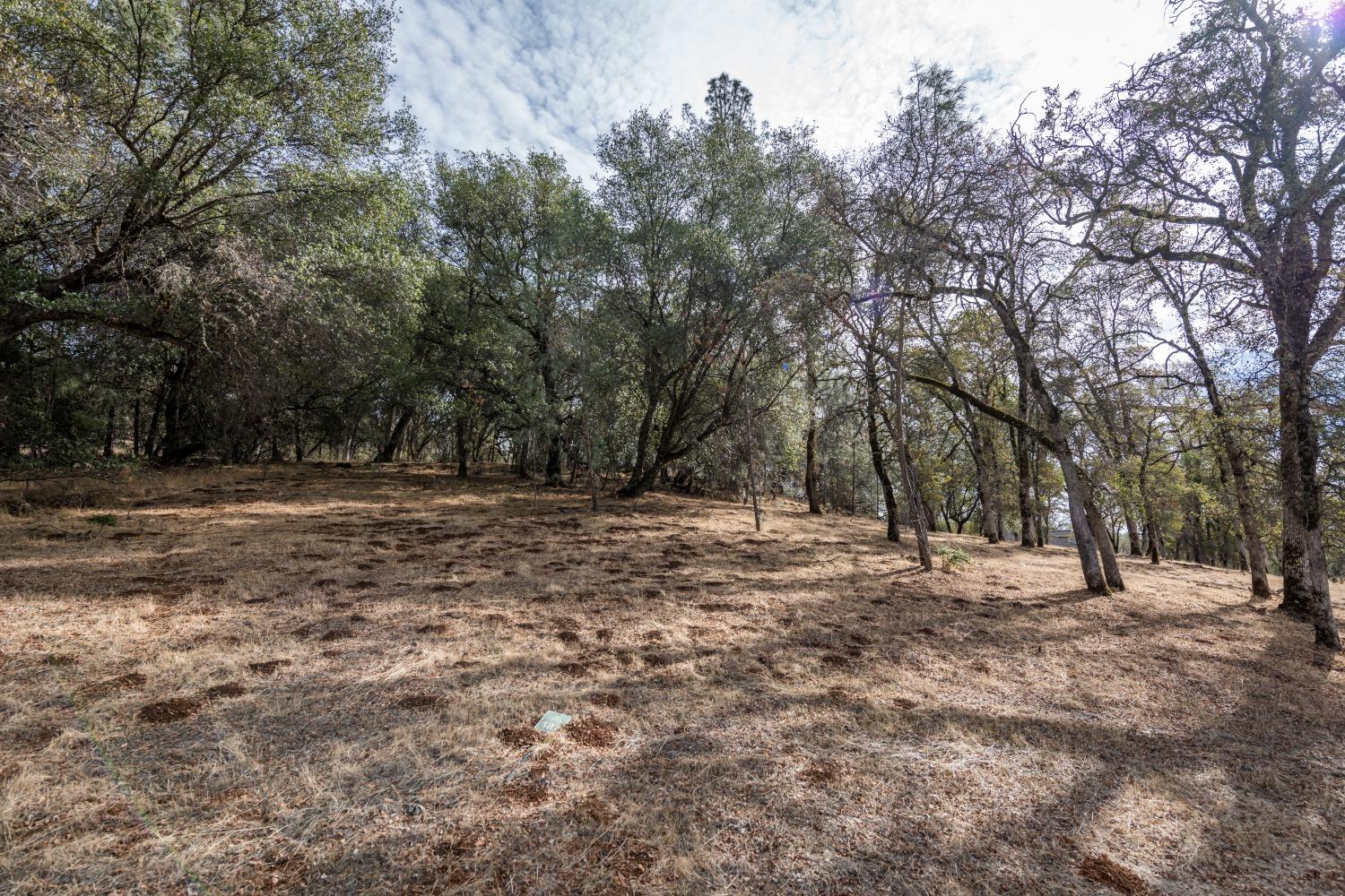 Photo of 23285-Lot 187 Darkhorse Dr in Auburn, CA
