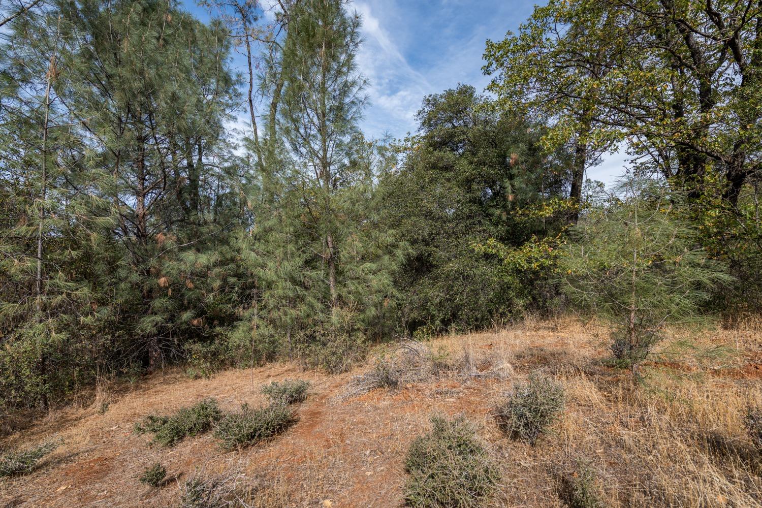 Lot 195 Masters Court, Auburn, California image 5