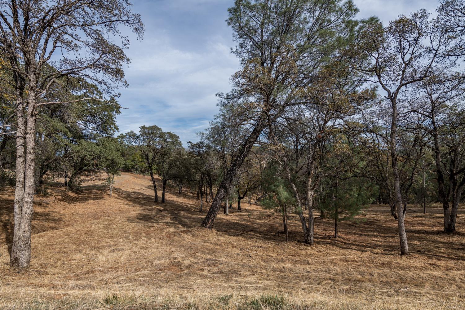 Lot 222 Moon Ridge Court, Auburn, California image 2