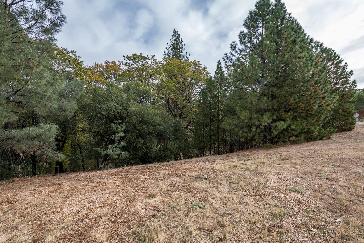 Photo of 23717-Lot 127 Darkhorse Dr in Auburn, CA