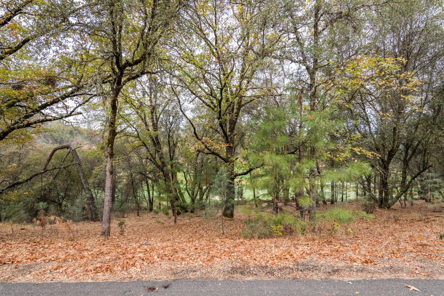 Lot 24 Landon Evan Lane, Auburn, California image 9