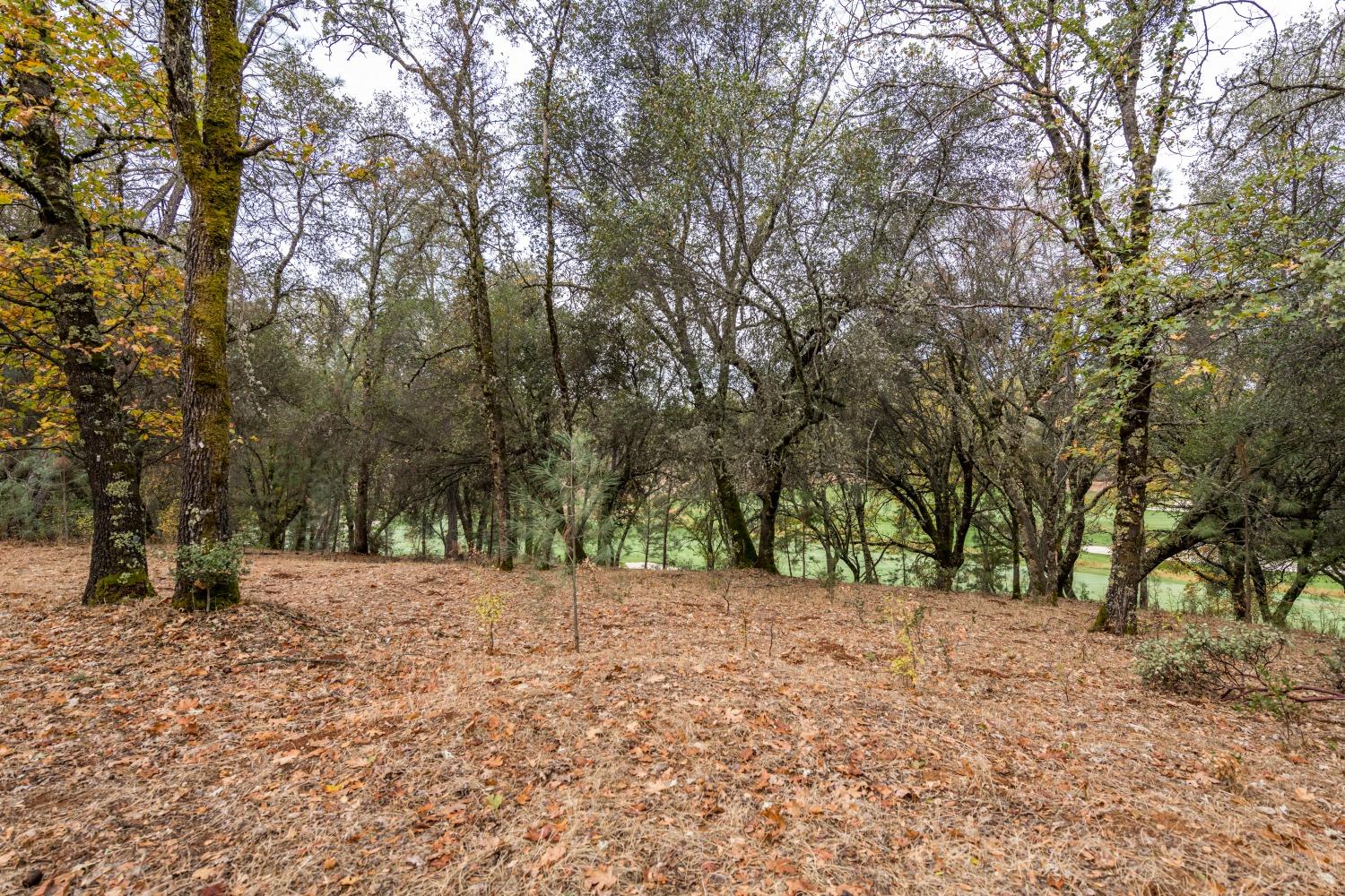 Lot 25 Landon Evan Lane, Auburn, California image 3