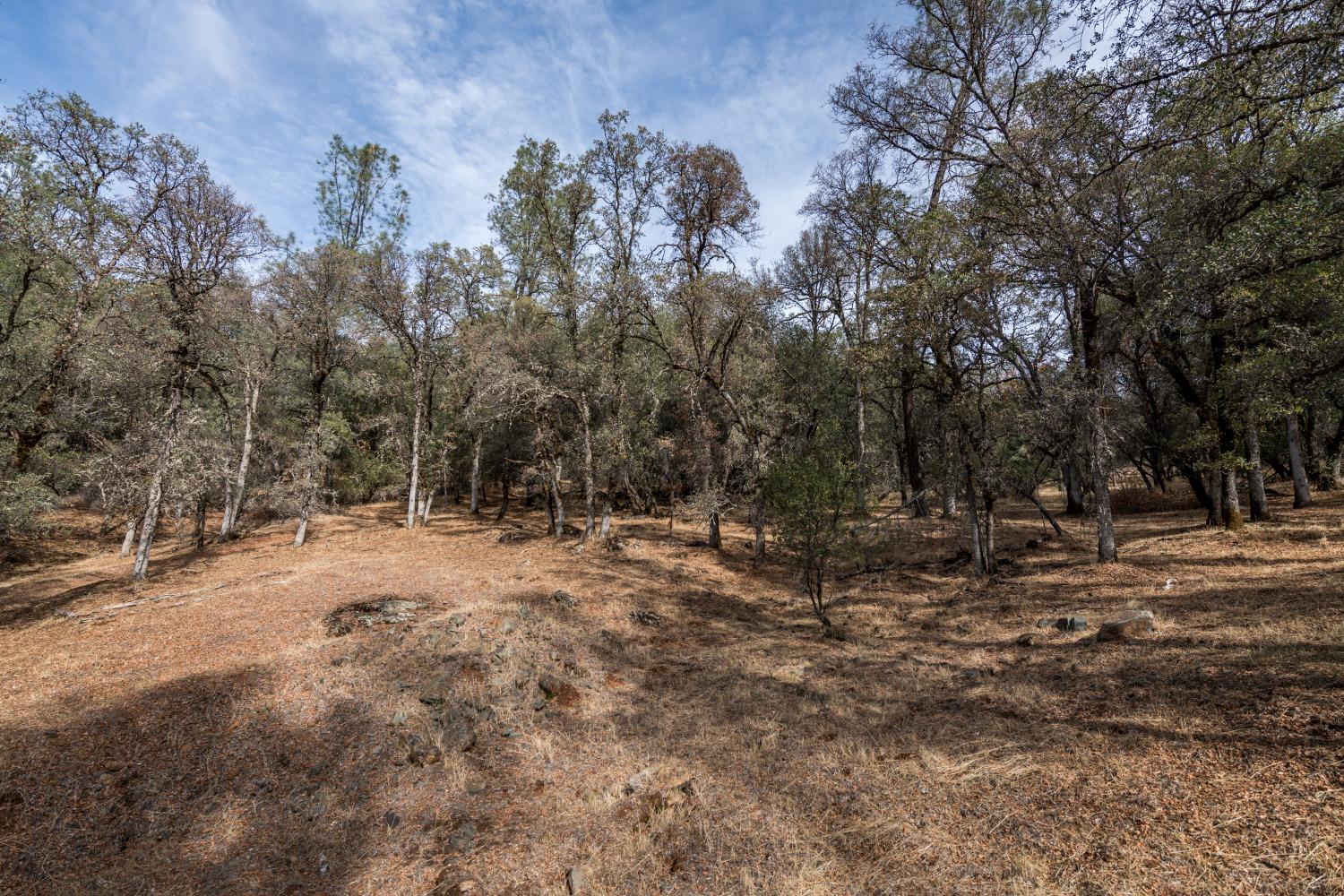 Lot 204 Masters Court, Auburn, California image 2