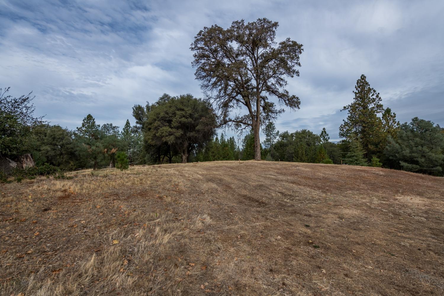 Photo of 12804-Lot 132 Austin Forest Cir in Auburn, CA