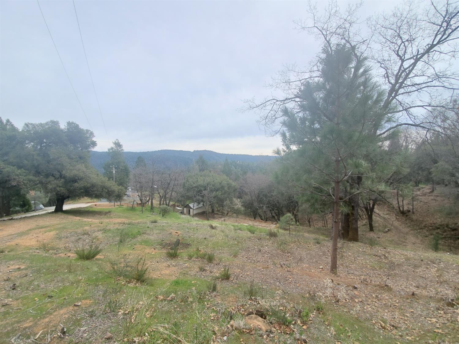 Photo of Grandview in Colfax, CA