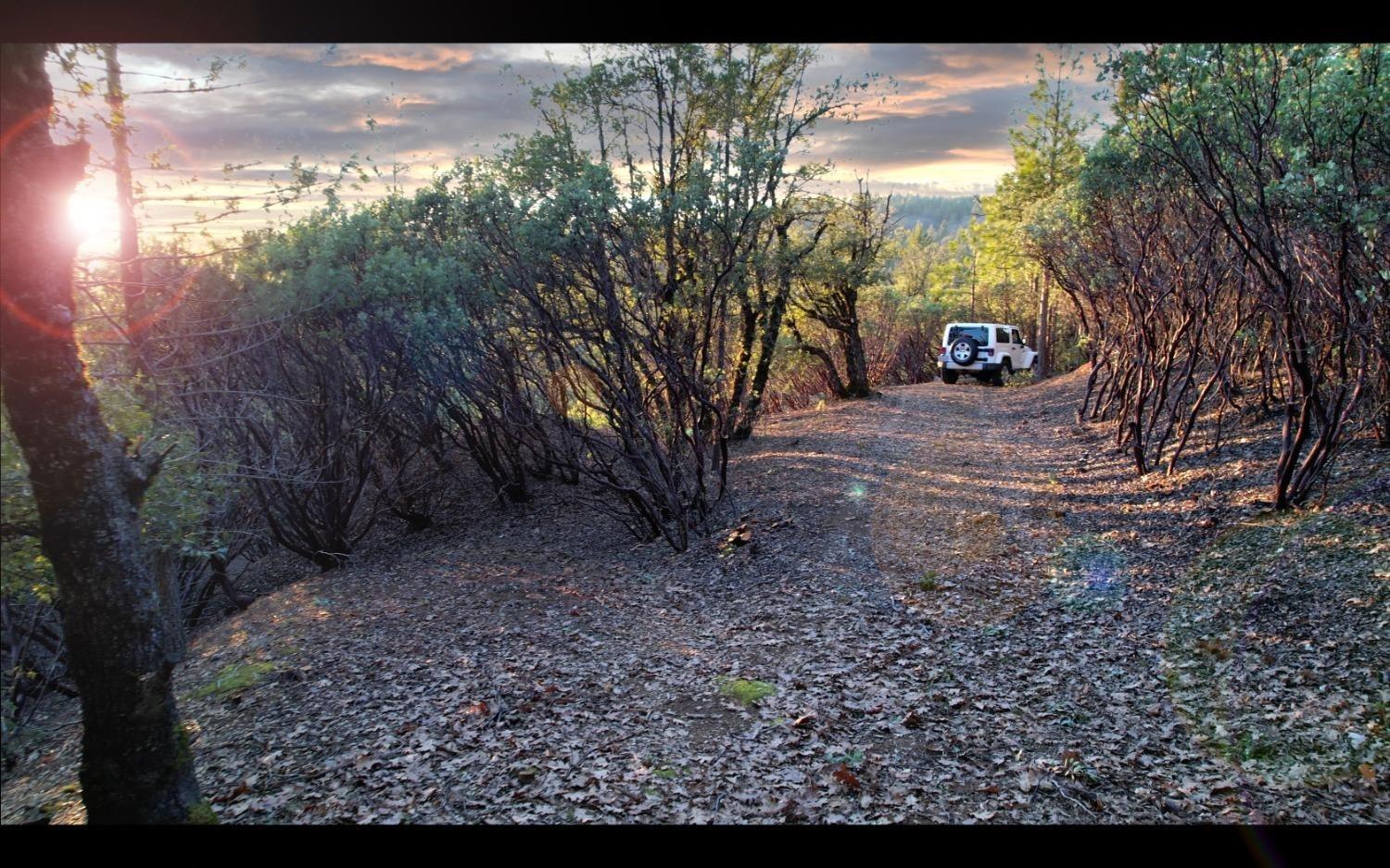 Detail Gallery Image 7 of 37 For 13162 Manion Canyon Rd, Grass Valley,  CA 95945 - – Beds | – Baths