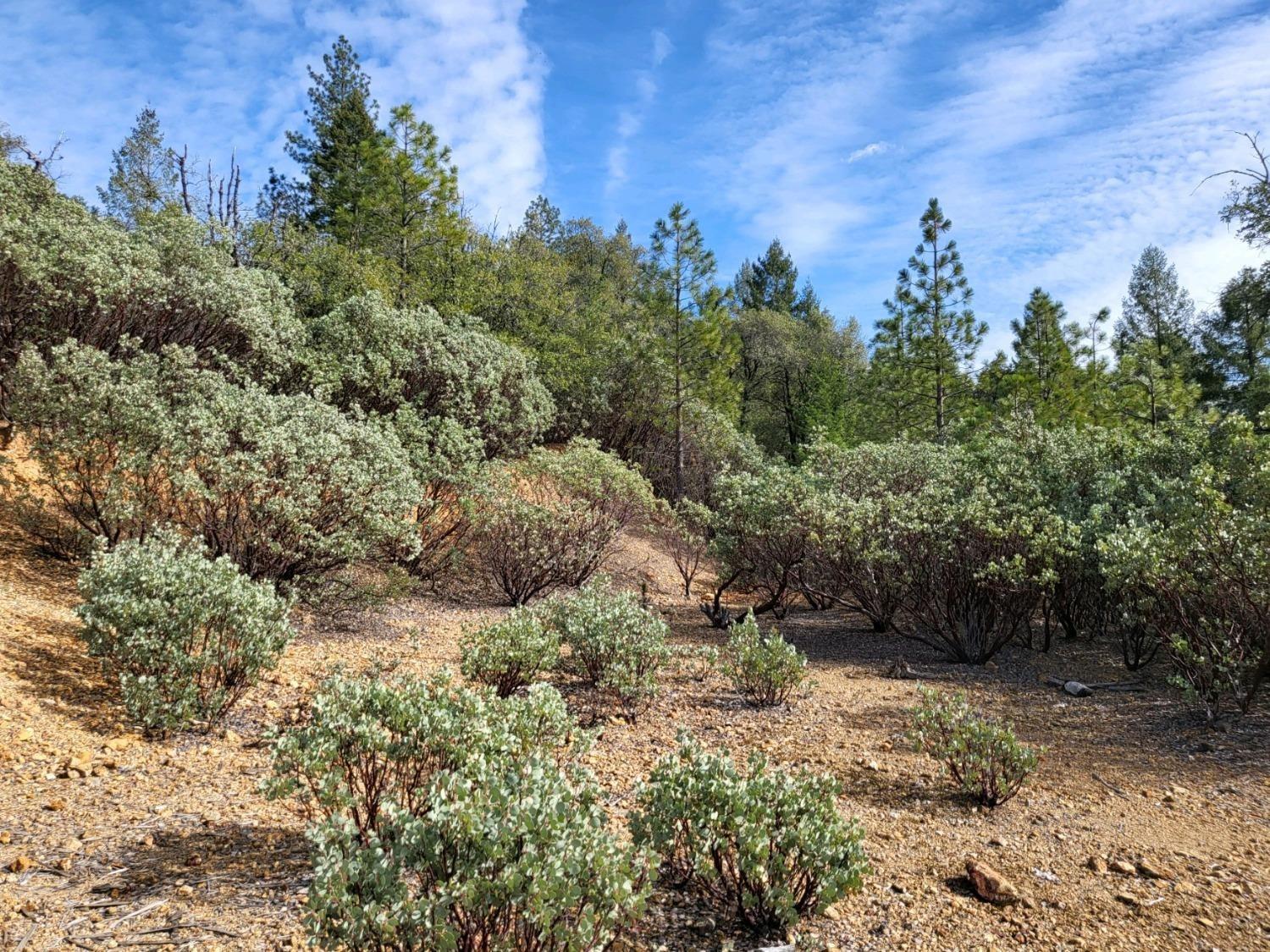 Detail Gallery Image 35 of 37 For 13162 Manion Canyon Rd, Grass Valley,  CA 95945 - – Beds | – Baths