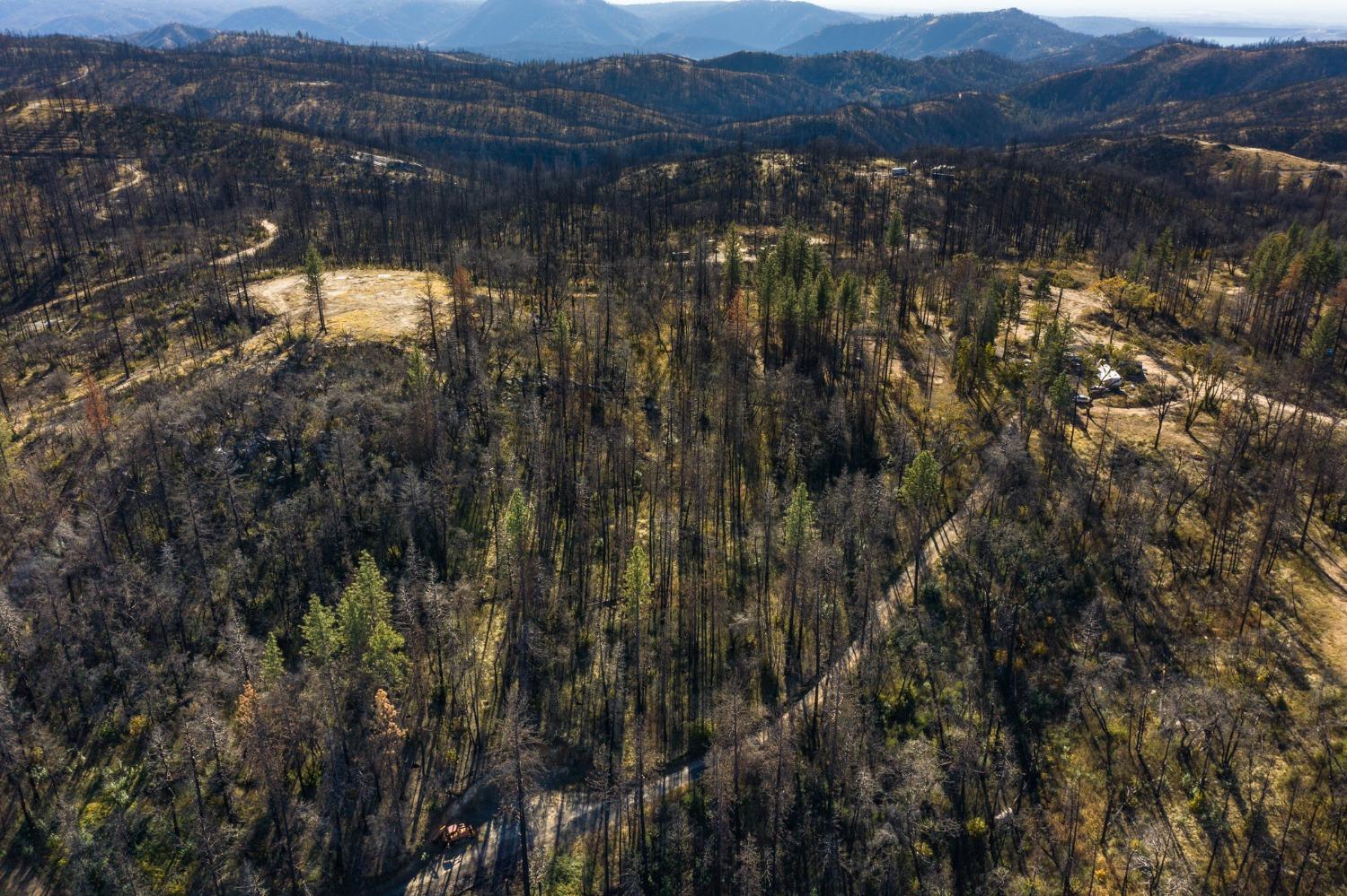 Justamere Lane, Berry Creek, California image 5