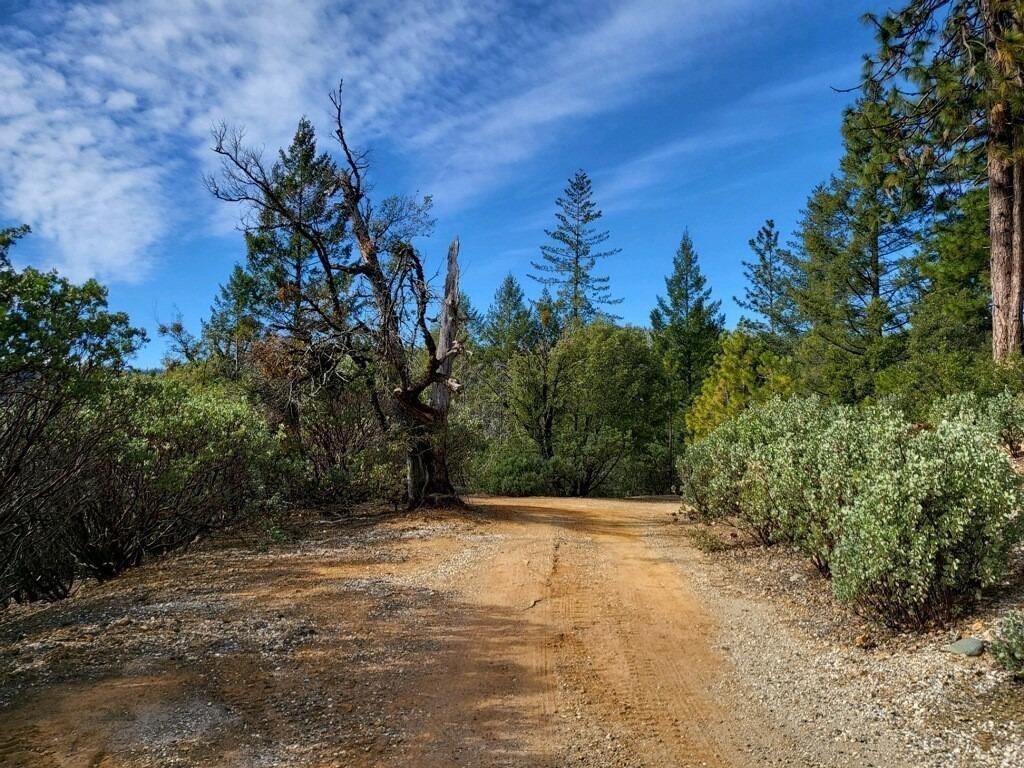 Detail Gallery Image 31 of 37 For 13162 Manion Canyon Rd, Grass Valley,  CA 95945 - – Beds | – Baths