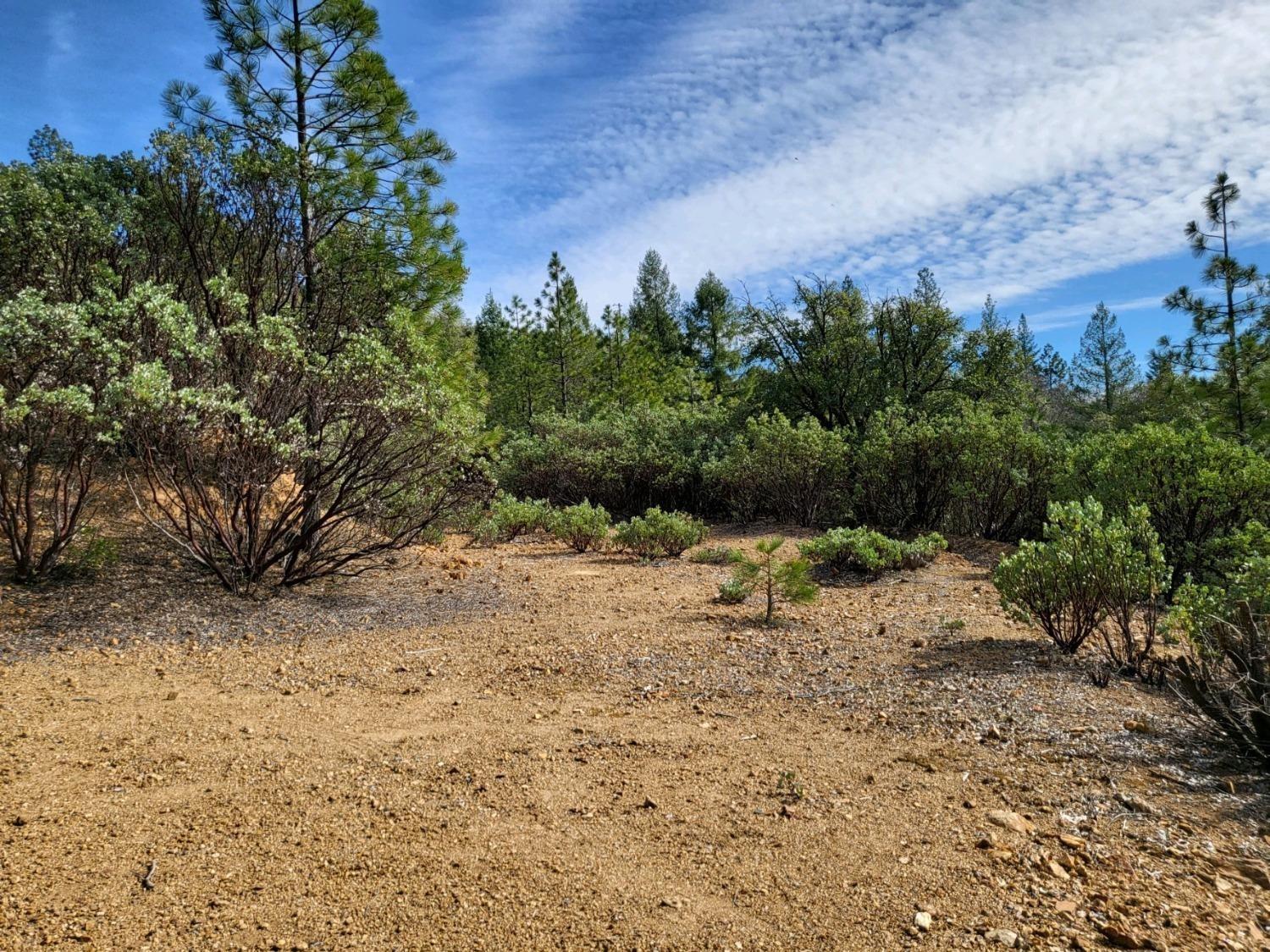 Detail Gallery Image 33 of 37 For 13162 Manion Canyon Rd, Grass Valley,  CA 95945 - – Beds | – Baths