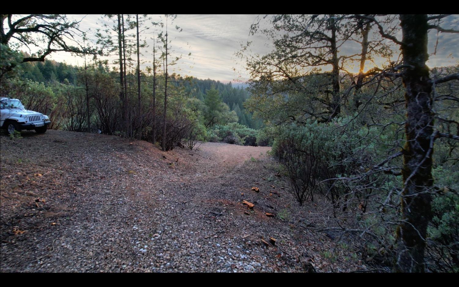 Photo of 13162 Manion Canyon Rd in Grass Valley, CA