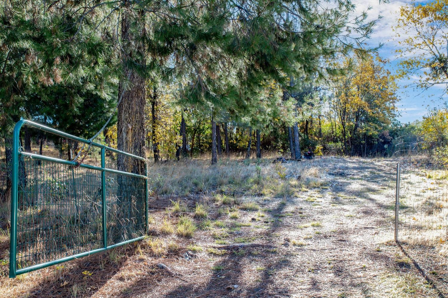 Detail Gallery Image 66 of 69 For 14444 Kodama Rd, Nevada City,  CA 95959 - 4 Beds | 2/1 Baths