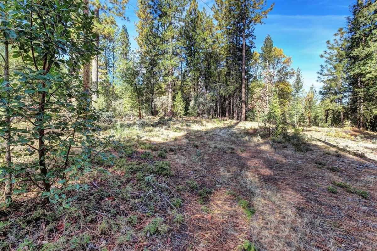 Photo of 17769 Coathanger Cross Rd in Nevada City, CA