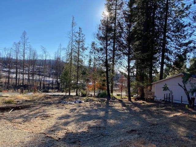 4984 Meadow Glen Drive, Grizzly Flats, CA 95636