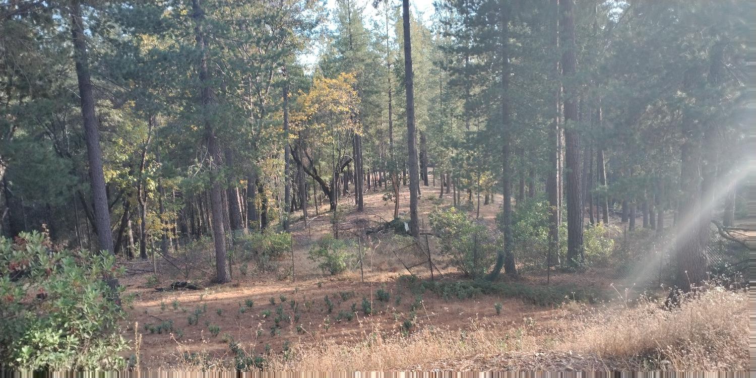 Kings Hill, Colfax, California image 10