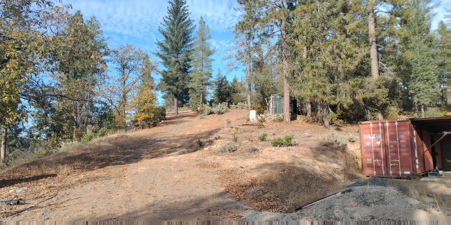 Kings Hill, Colfax, California image 4