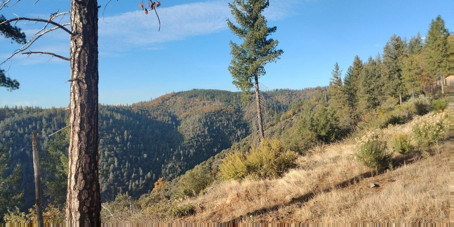 Kings Hill, Colfax, California image 2