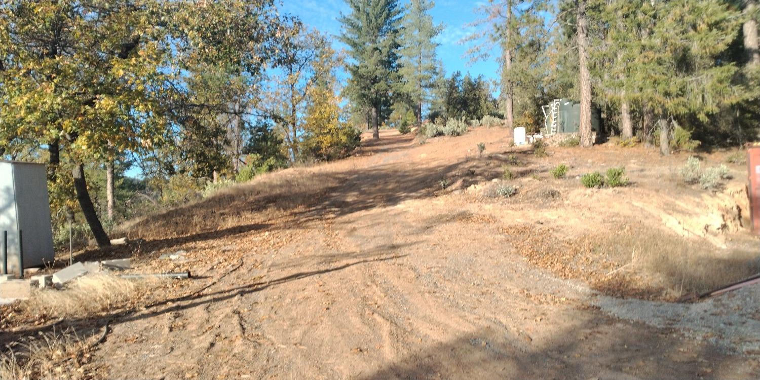 Kings Hill, Colfax, California image 17