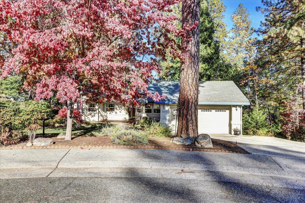 Detail Gallery Image 51 of 80 For 203 Jan Rd, Grass Valley,  CA 95945 - 3 Beds | 2 Baths