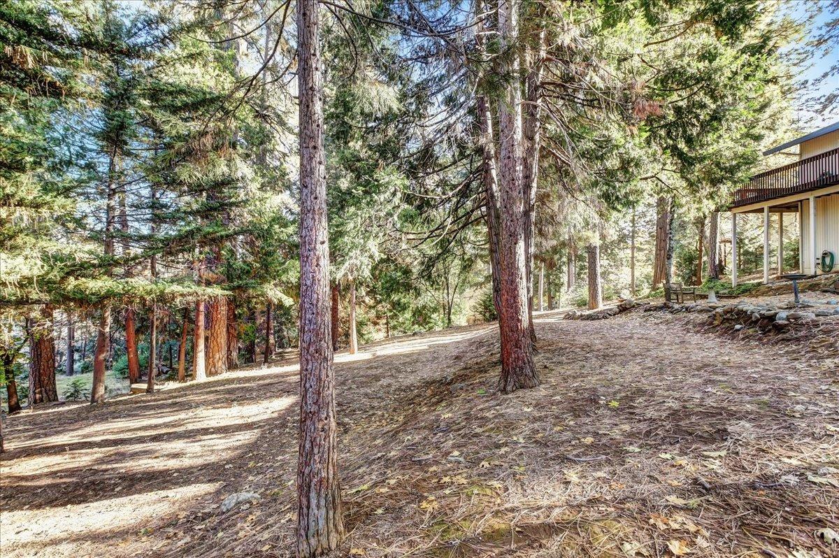 Detail Gallery Image 67 of 80 For 203 Jan Rd, Grass Valley,  CA 95945 - 3 Beds | 2 Baths