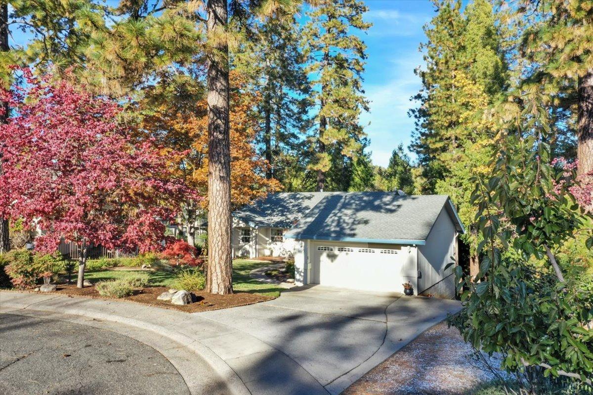 Detail Gallery Image 50 of 80 For 203 Jan Rd, Grass Valley,  CA 95945 - 3 Beds | 2 Baths