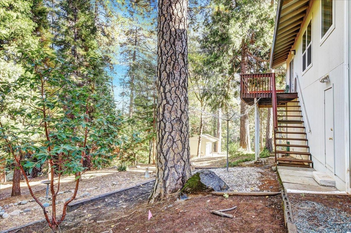 Detail Gallery Image 69 of 80 For 203 Jan Rd, Grass Valley,  CA 95945 - 3 Beds | 2 Baths