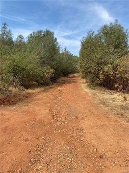 Photo of Potters Ravine in Oroville, CA