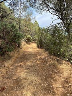 Photo of Potters Ravine Dr in Oroville, CA