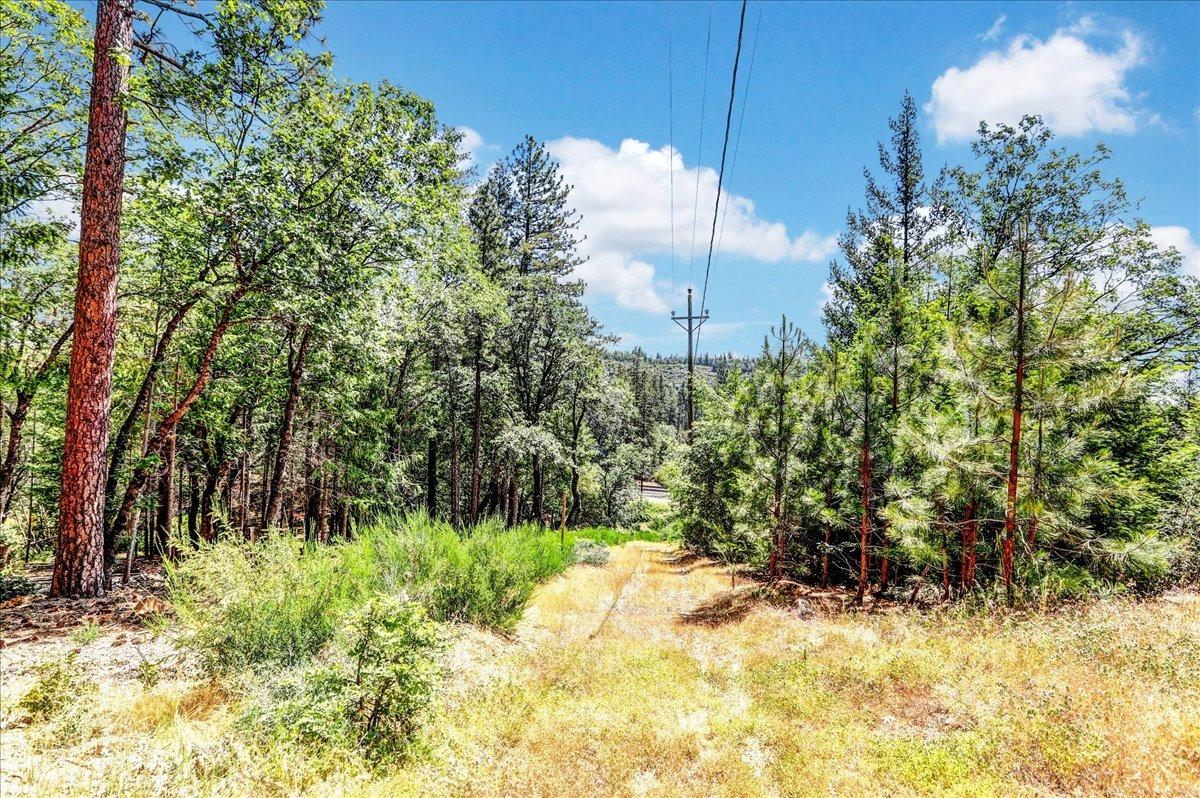 Rollins Lake Road, Colfax, California image 15