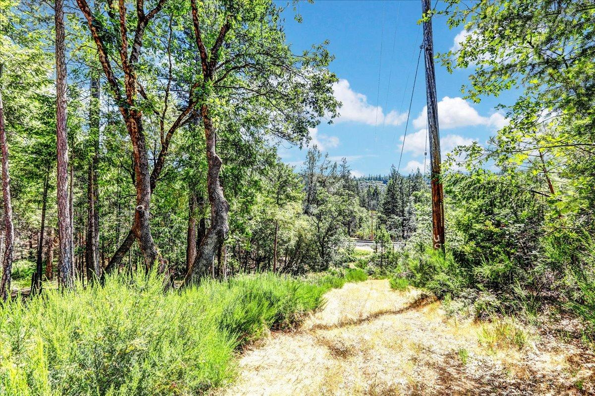 Rollins Lake Road, Colfax, California image 20