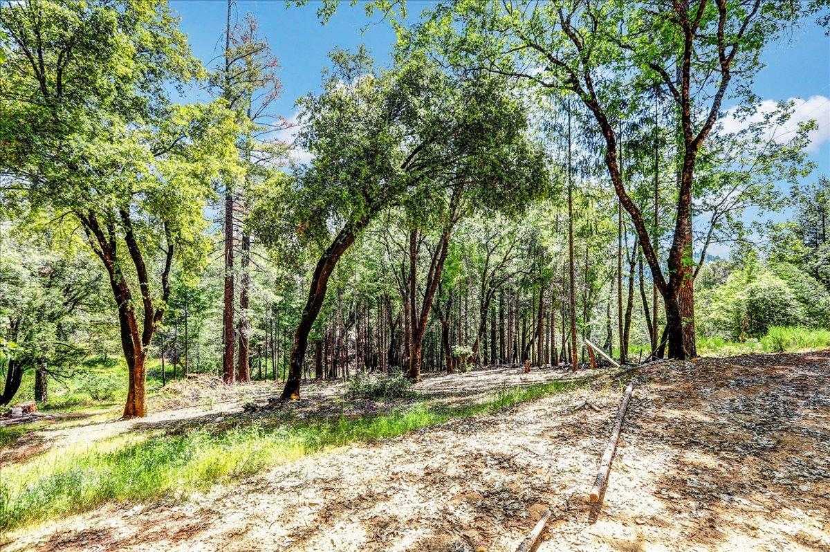 Rollins Lake Road, Colfax, California image 8