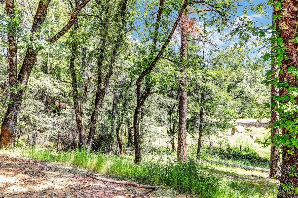 Rollins Lake Road, Colfax, California image 7