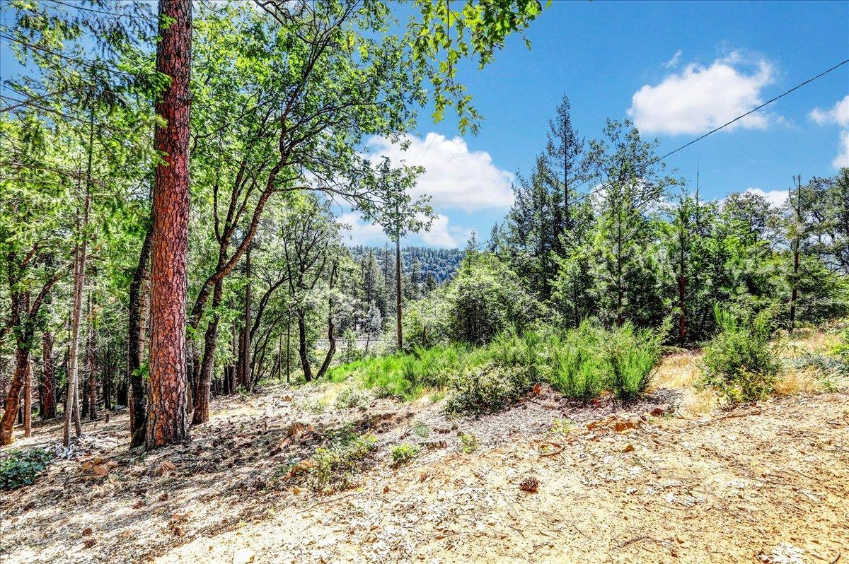 Rollins Lake Road, Colfax, California image 12